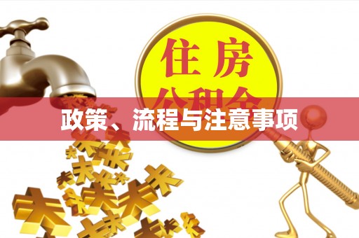 德阳政策、流程与注意事项
